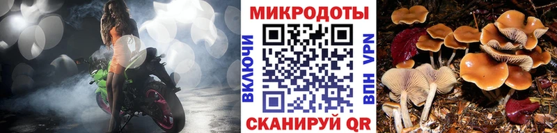 Галлюциногенные грибы прущие грибы  Купить  Лыткарино 