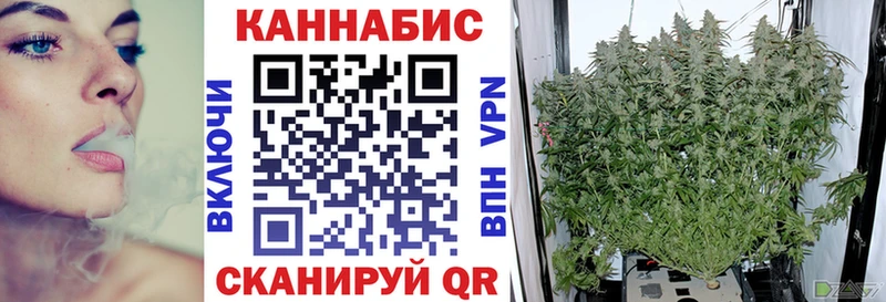 Купить закладки  Лыткарино  Бошки Шишки THC 21% 